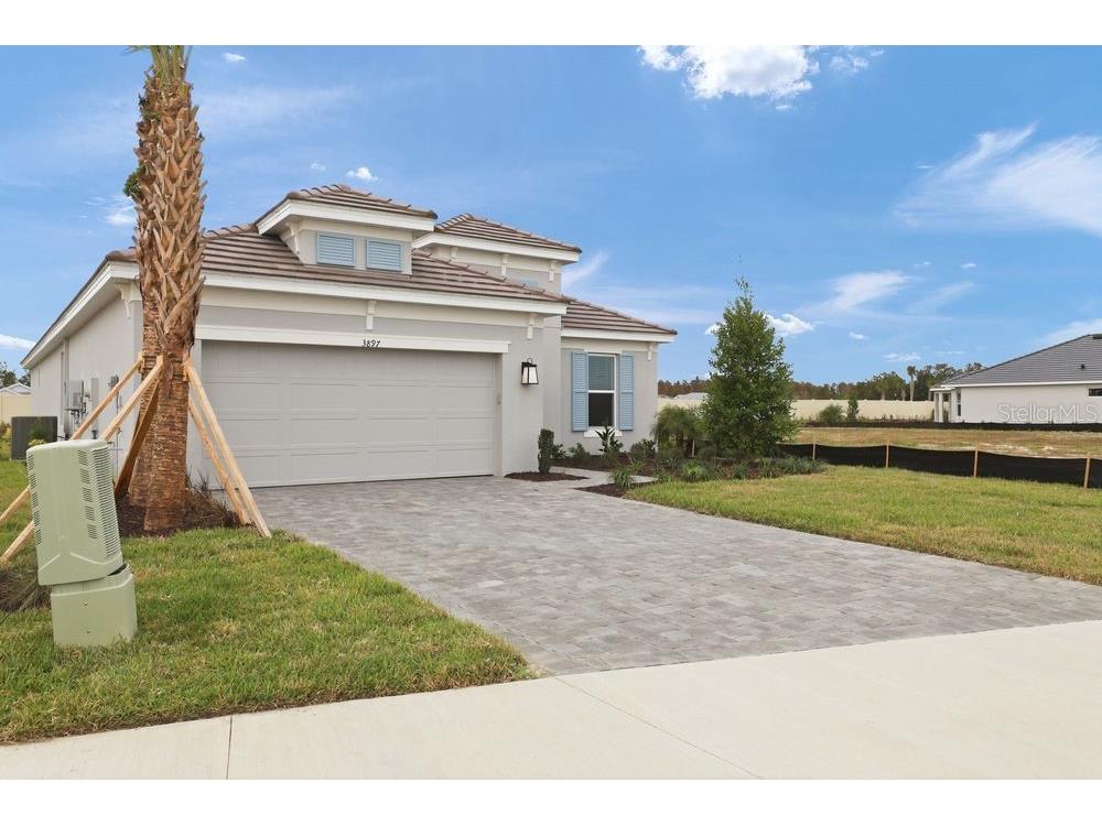 3897 Figliolia Way Wesley Chapel FL 33543 TB8430321 image43