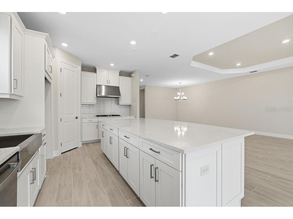 3897 Figliolia Way Wesley Chapel FL 33543 TB8430321 image6