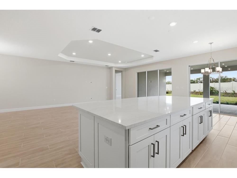 3897 Figliolia Way Wesley Chapel FL 33543 TB8430321 image8