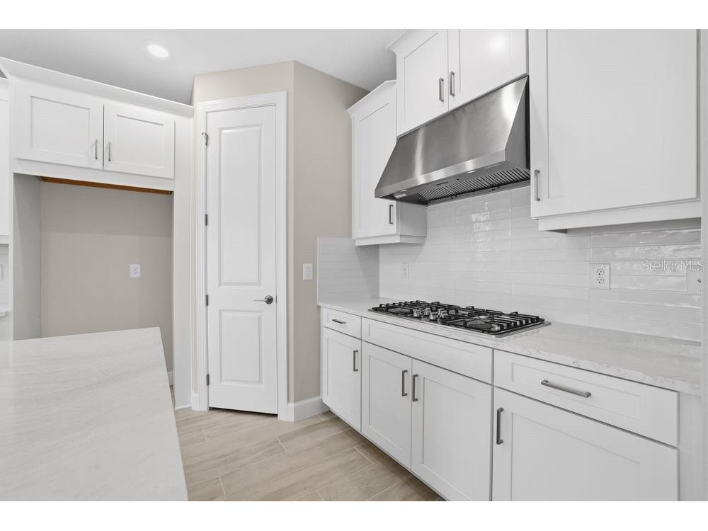 3897 Figliolia Way Wesley Chapel FL 33543 TB8430321 image9