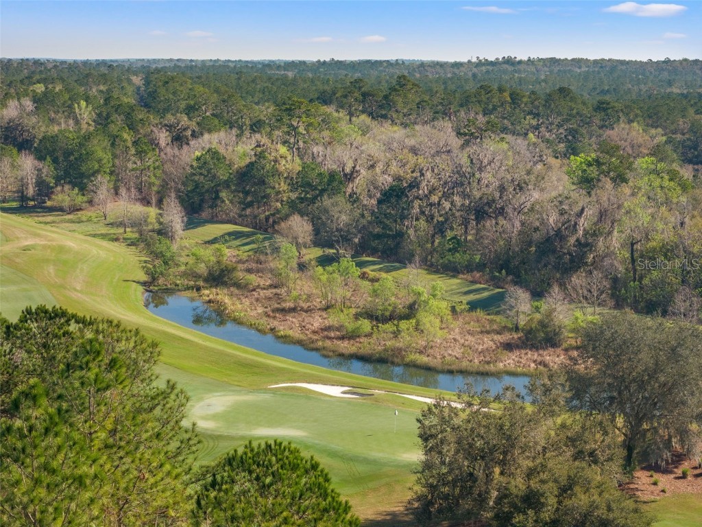 3897 Southern Valley Loop Brooksville FL 34601 TB8358120 image2