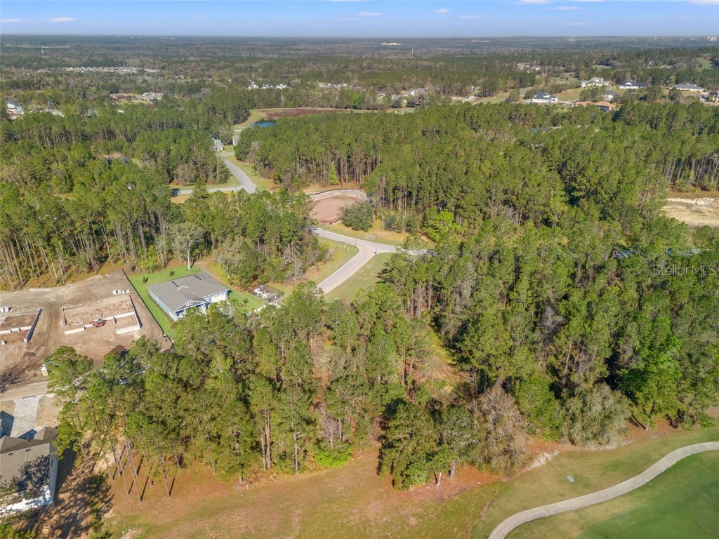 3897 Southern Valley Loop Brooksville FL 34601 TB8358120 image8