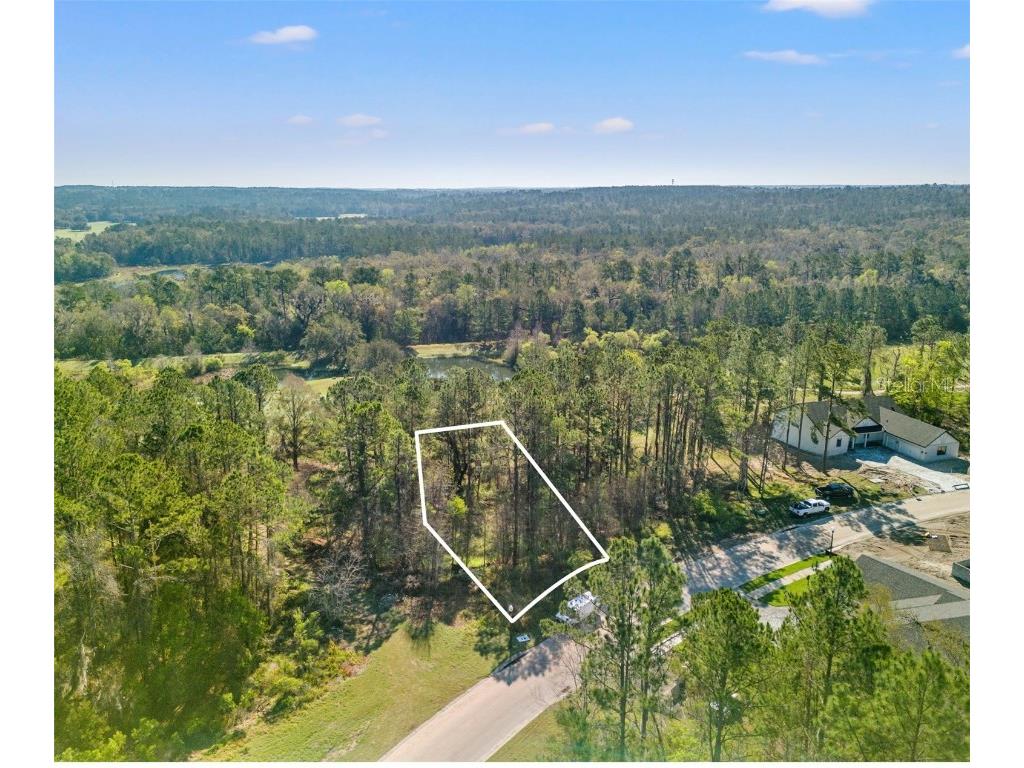 3897 Southern Valley Loop Brooksville FL 34601 TB8358120 image9