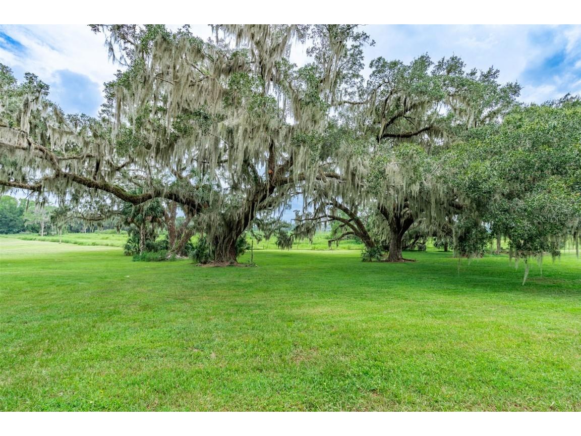 3897 SW 69th Avenue Gainesville FL 32608 GC533892 image8