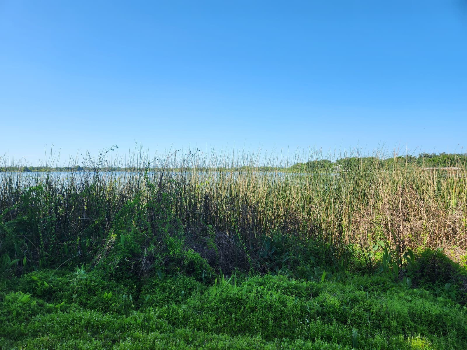 3898 & 3910 W Washington Street Orlando FL 32805 - LAKE MANN O6402103 image10