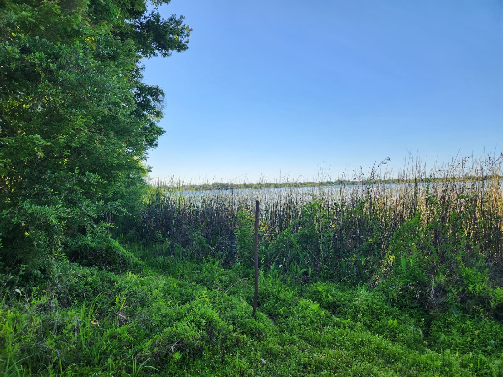 3898 & 3910 W Washington Street Orlando FL 32805 - LAKE MANN O6402103 image11