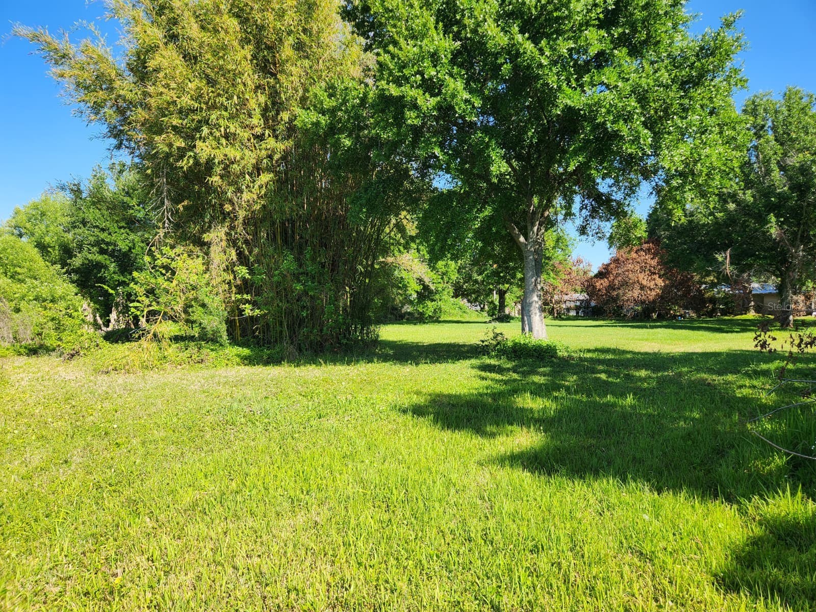 3898 & 3910 W Washington Street Orlando FL 32805 - LAKE MANN O6402103 image12