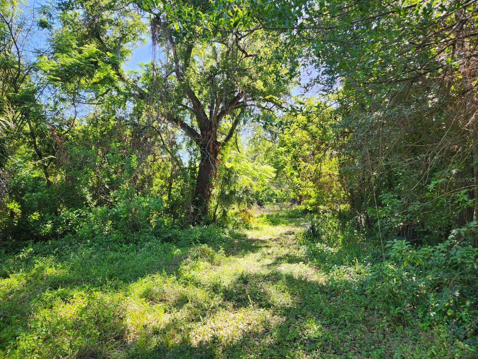 3898 & 3910 W Washington Street Orlando FL 32805 - LAKE MANN O6402103 image13