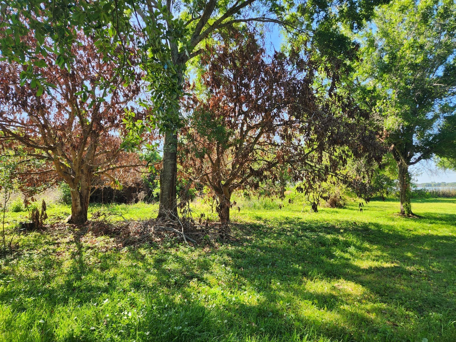 3898 & 3910 W Washington Street Orlando FL 32805 - LAKE MANN O6402103 image3