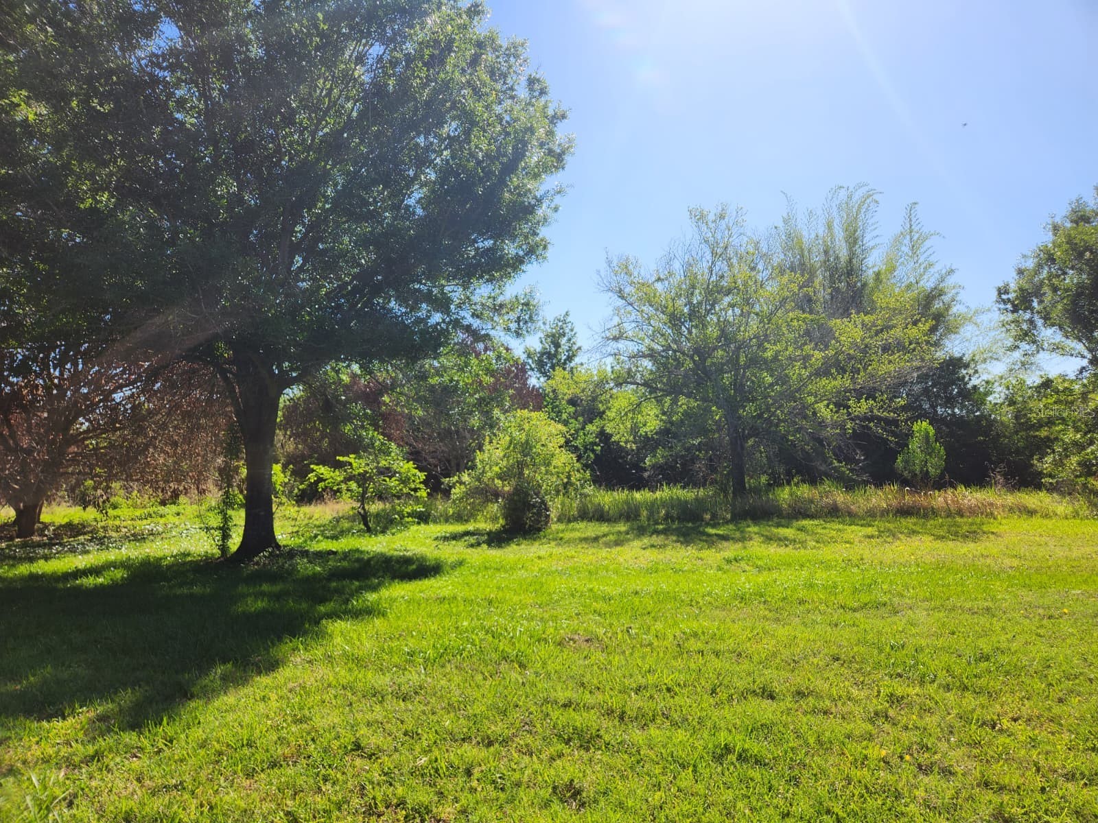 3898 & 3910 W Washington Street Orlando FL 32805 - LAKE MANN O6402103 image4