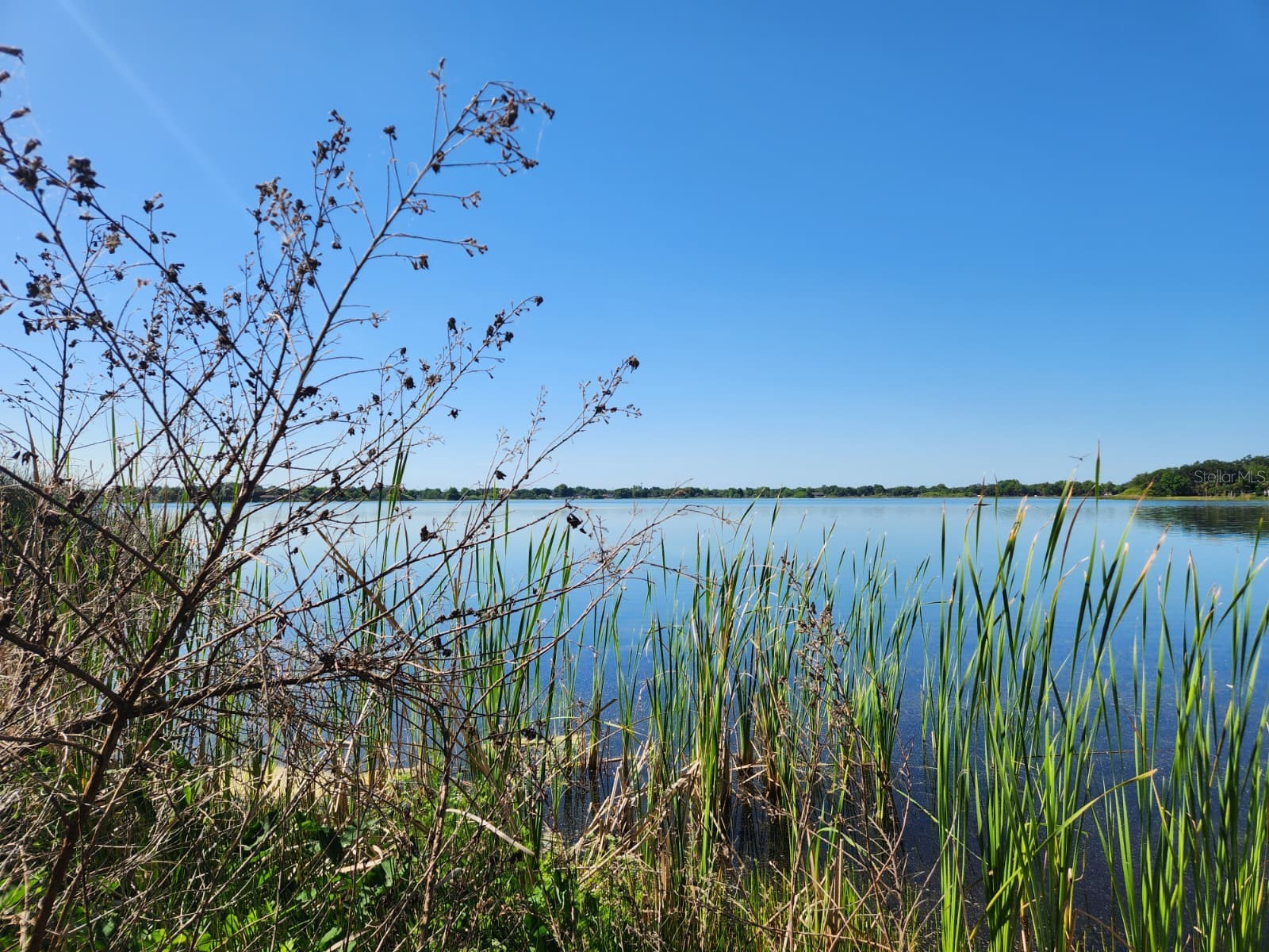 3898 & 3910 W Washington Street Orlando FL 32805 - LAKE MANN O6402103 image6