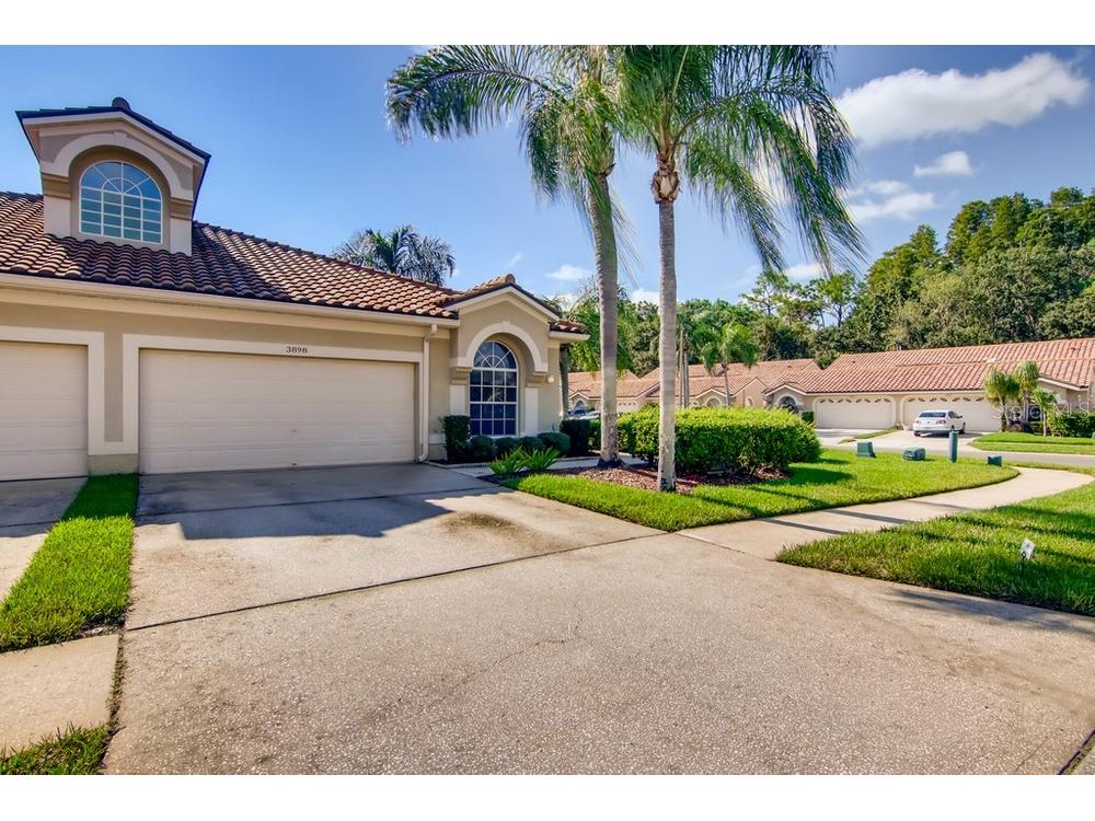 3898 Timber Ridge Court Palm Harbor FL 34685 W7838199 image1
