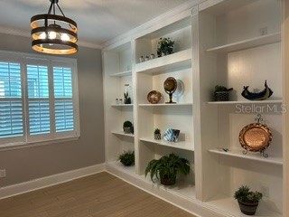 3899 Ivy Springs Lane Land O Lakes FL 34638 S5148395 image14