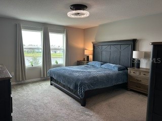 3899 Ivy Springs Lane Land O Lakes FL 34638 S5148395 image18
