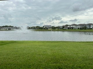 3899 Ivy Springs Lane Land O Lakes FL 34638 S5148395 image2