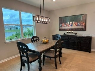 3899 Ivy Springs Lane Land O Lakes FL 34638 S5148395 image8