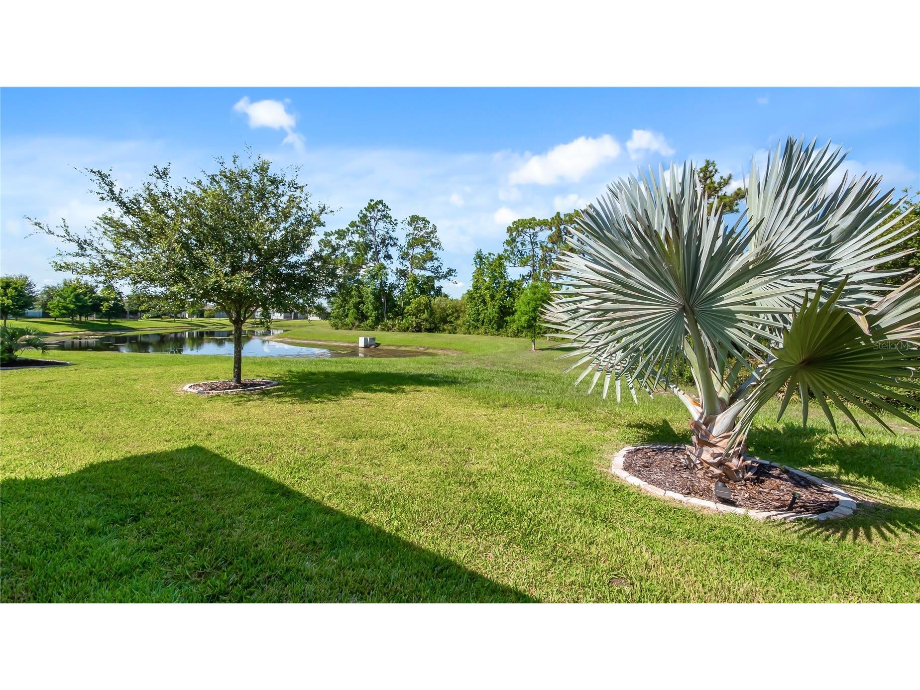 3899 Winged Elm Court Clermont FL 34714 G5115075 image32