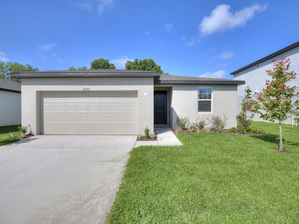 38990 Harlow Rose Drive Zephyrhills FL 33540 O6038964 image1
