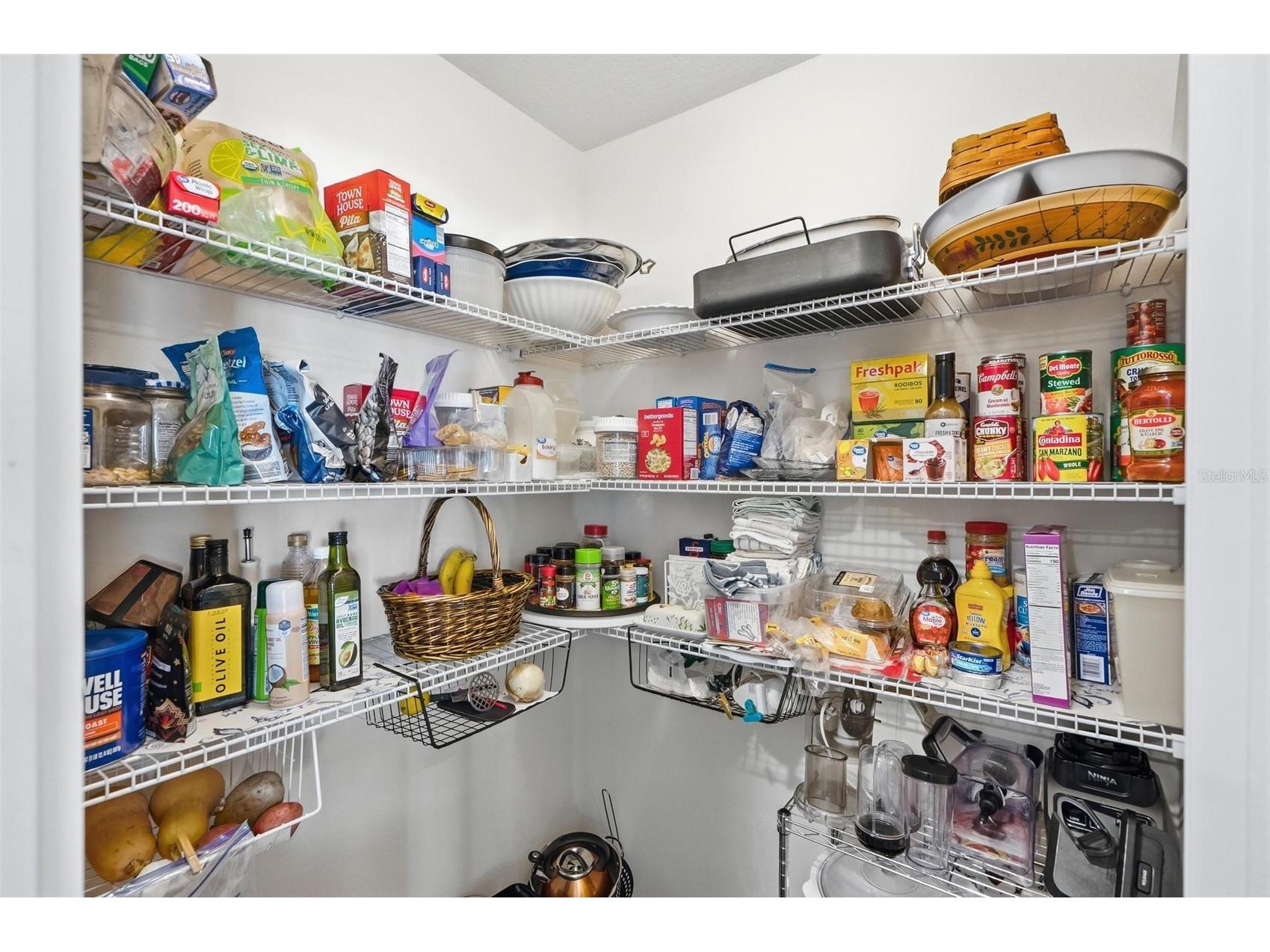 39 Ballenger Lane Palm Coast FL 32137 FC317353 image33