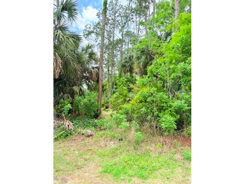 39 Braddock Lane Palm Coast FL 32137 FC317611 image2