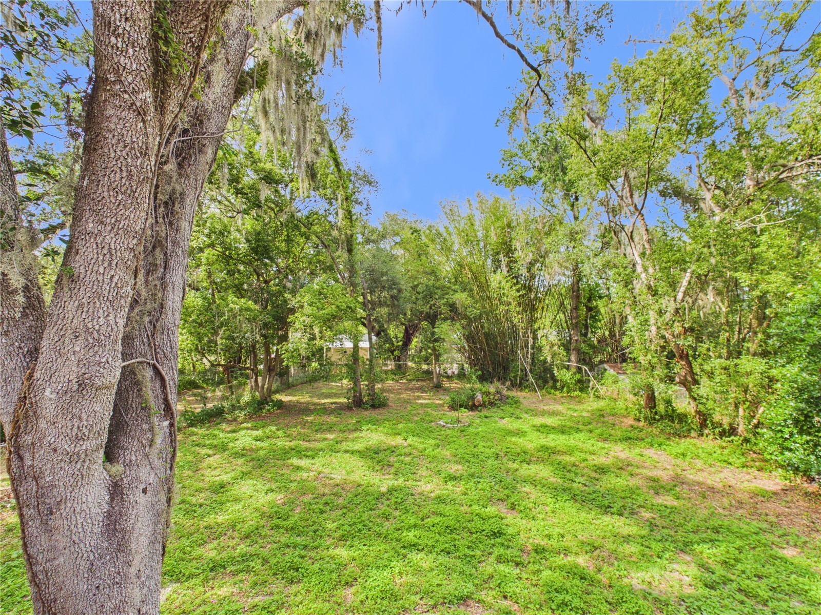 39 Cherry Street Brooksville FL 34601 OM726173 image21