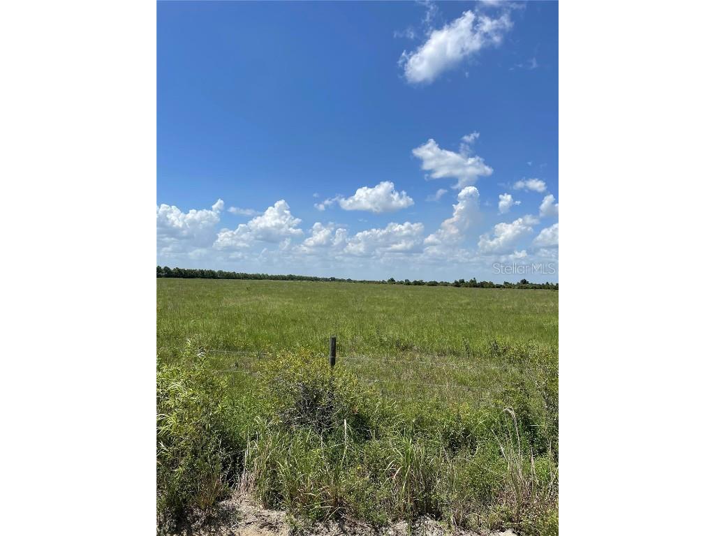 39 Ellie Lane Venus FL 33960 T3541658 image1