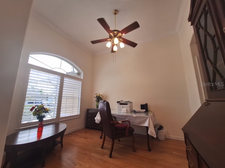 39 Evans Drive Palm Coast FL 32164 FC319244 image4