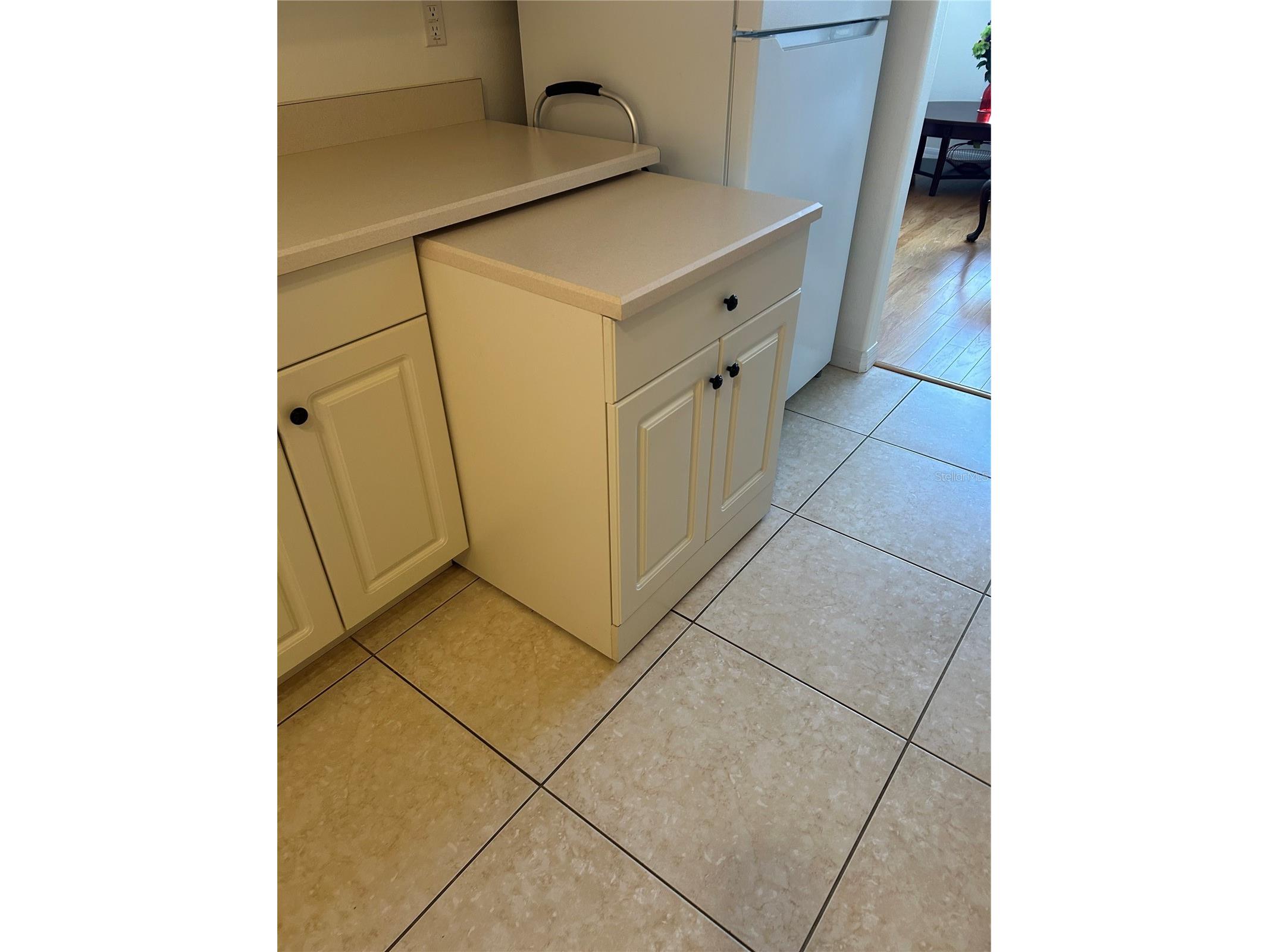 39 Evans Drive Palm Coast FL 32164 FC319244 image8