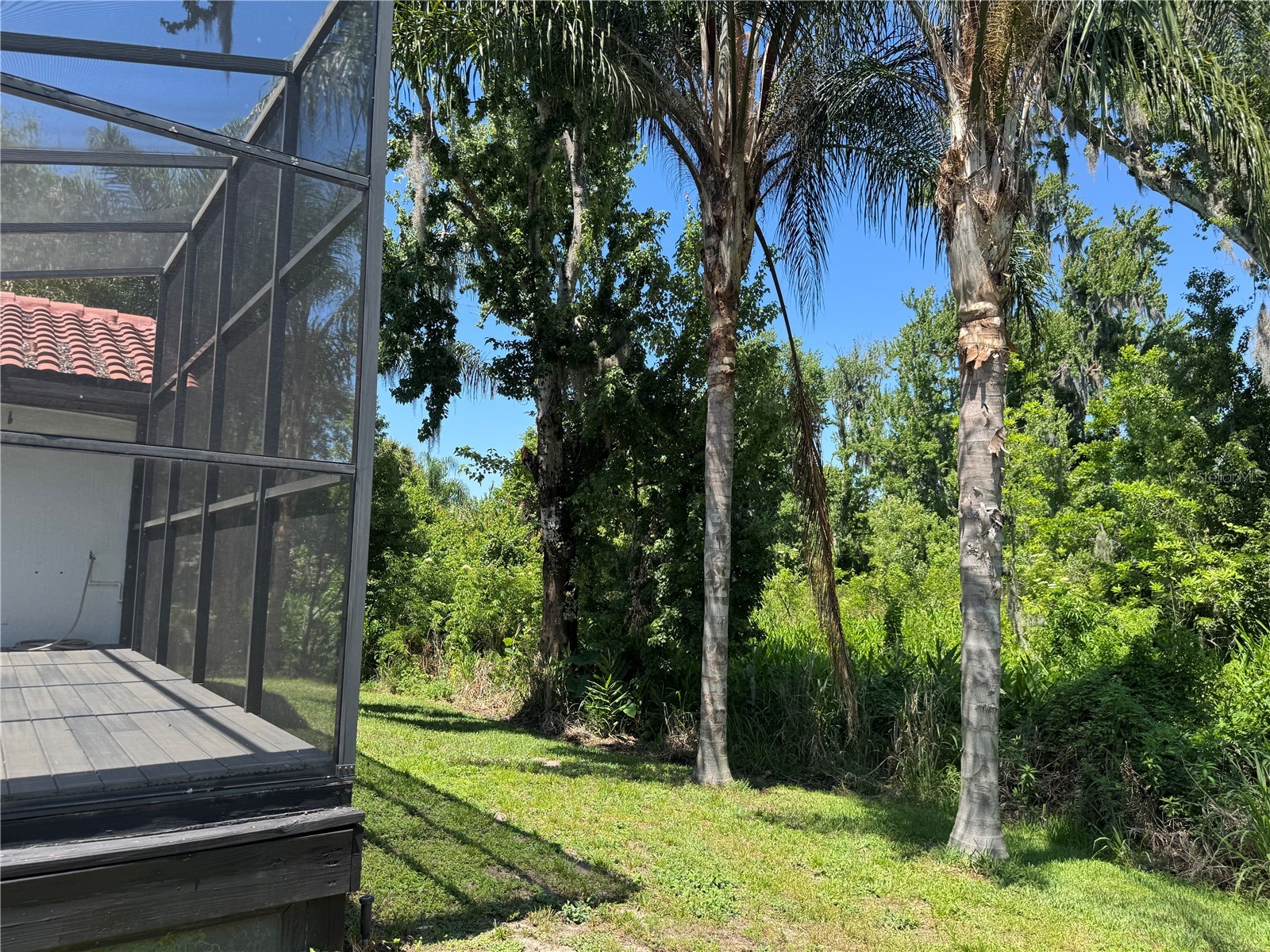 39 Forest Lane Eustis FL 32726 G5112472 image35