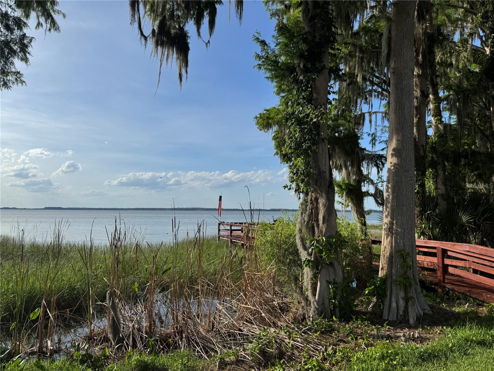 39 Forest Lane Eustis FL 32726 G5112472 image41