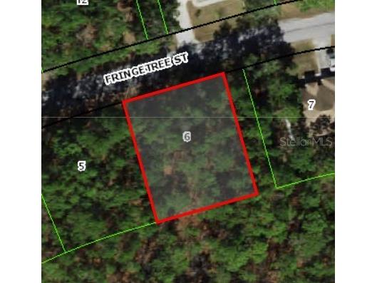 39 Fringetree Street Homosassa FL 34446 TB8398305 image1