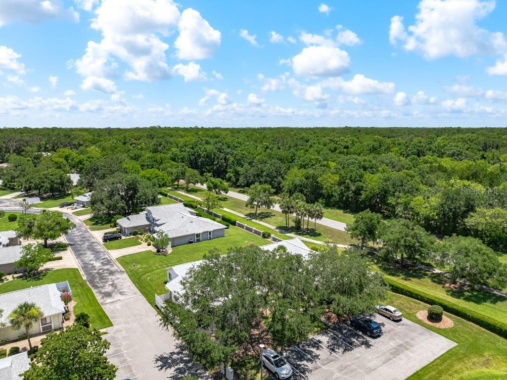 39 Lake Forest Place Palm Coast FL 32137 FC310851 image43