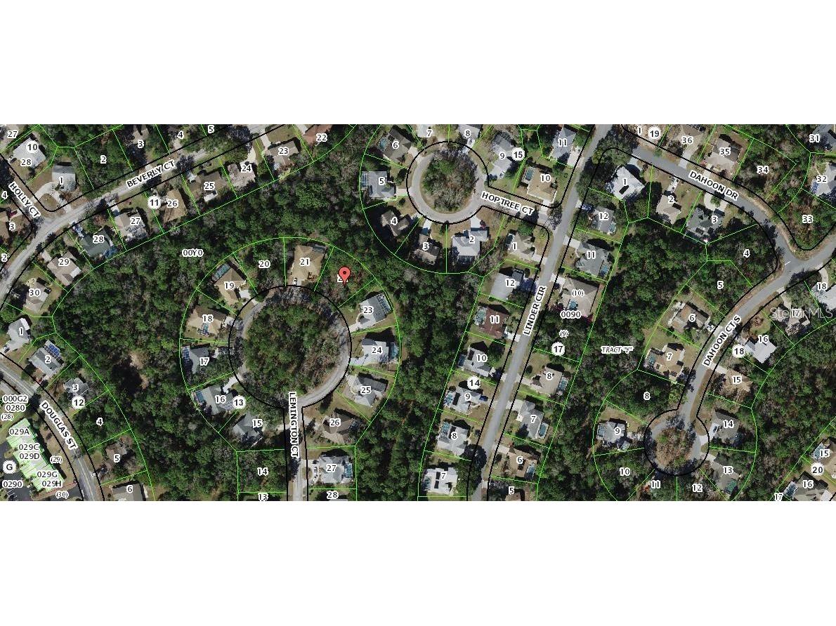 39 Lemington Court Homosassa FL 34446 W7879129 image1