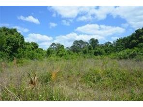 39 Locust Place Ocala FL 34472 OM713036 image2