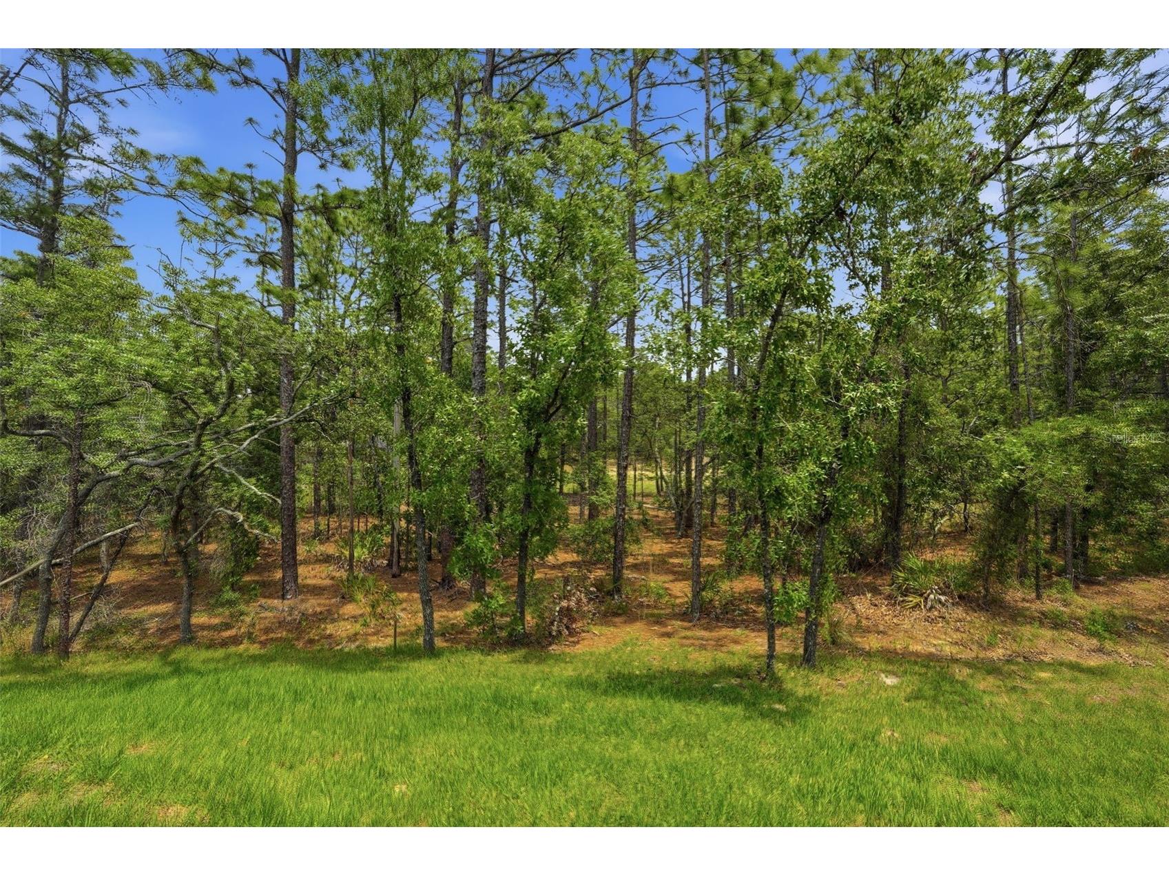 39 Milbark Drive Homosassa FL 34446 W7885528 image55
