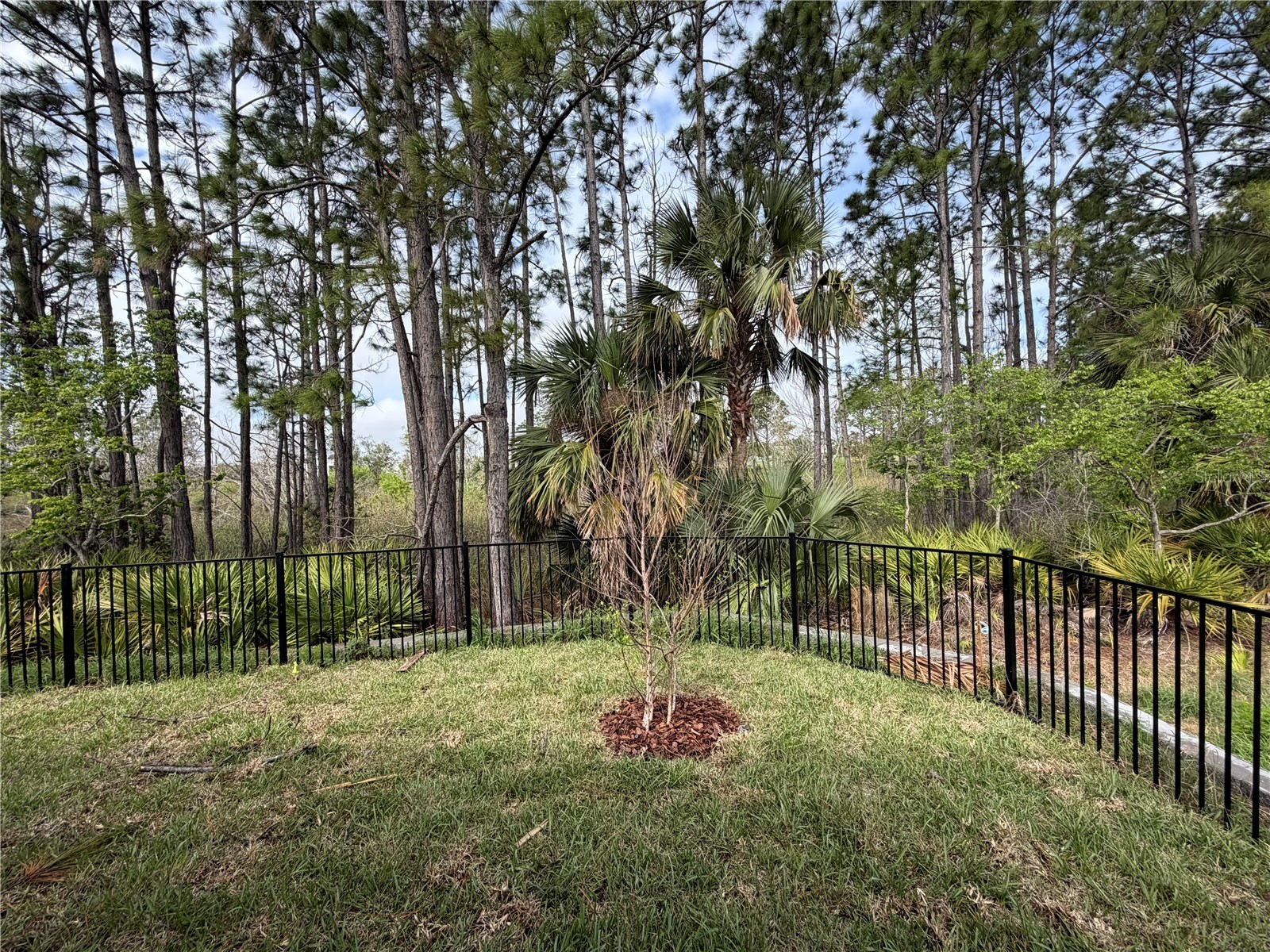39 Perseus Avenue Flagler Beach FL 32136 FC311454 image52