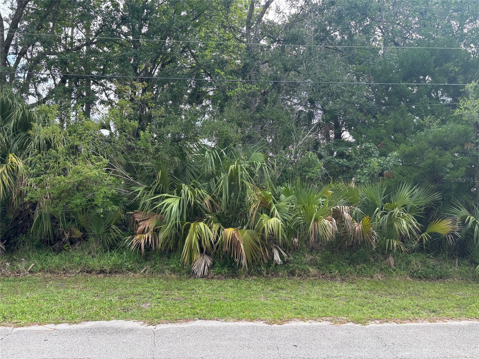 39 Poplar Drive Palm Coast FL 32164 FC310476 image1