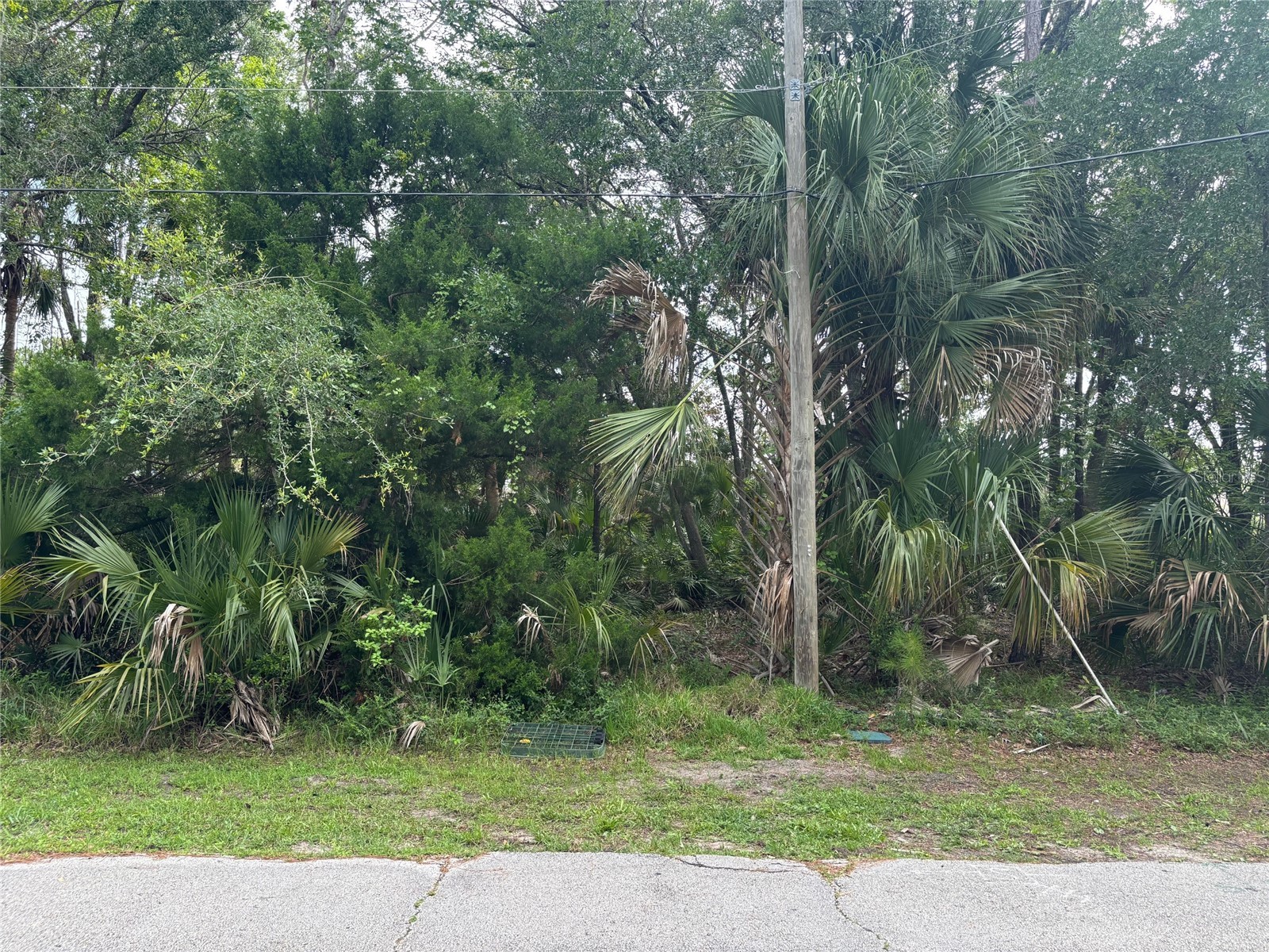 39 Poplar Drive Palm Coast FL 32164 FC310476 image2