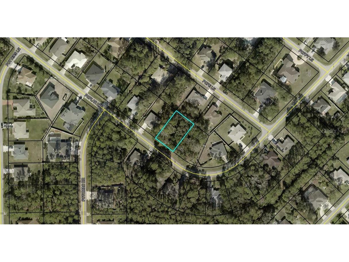 39 Poplar Drive Palm Coast FL 32164 FC310476 image3