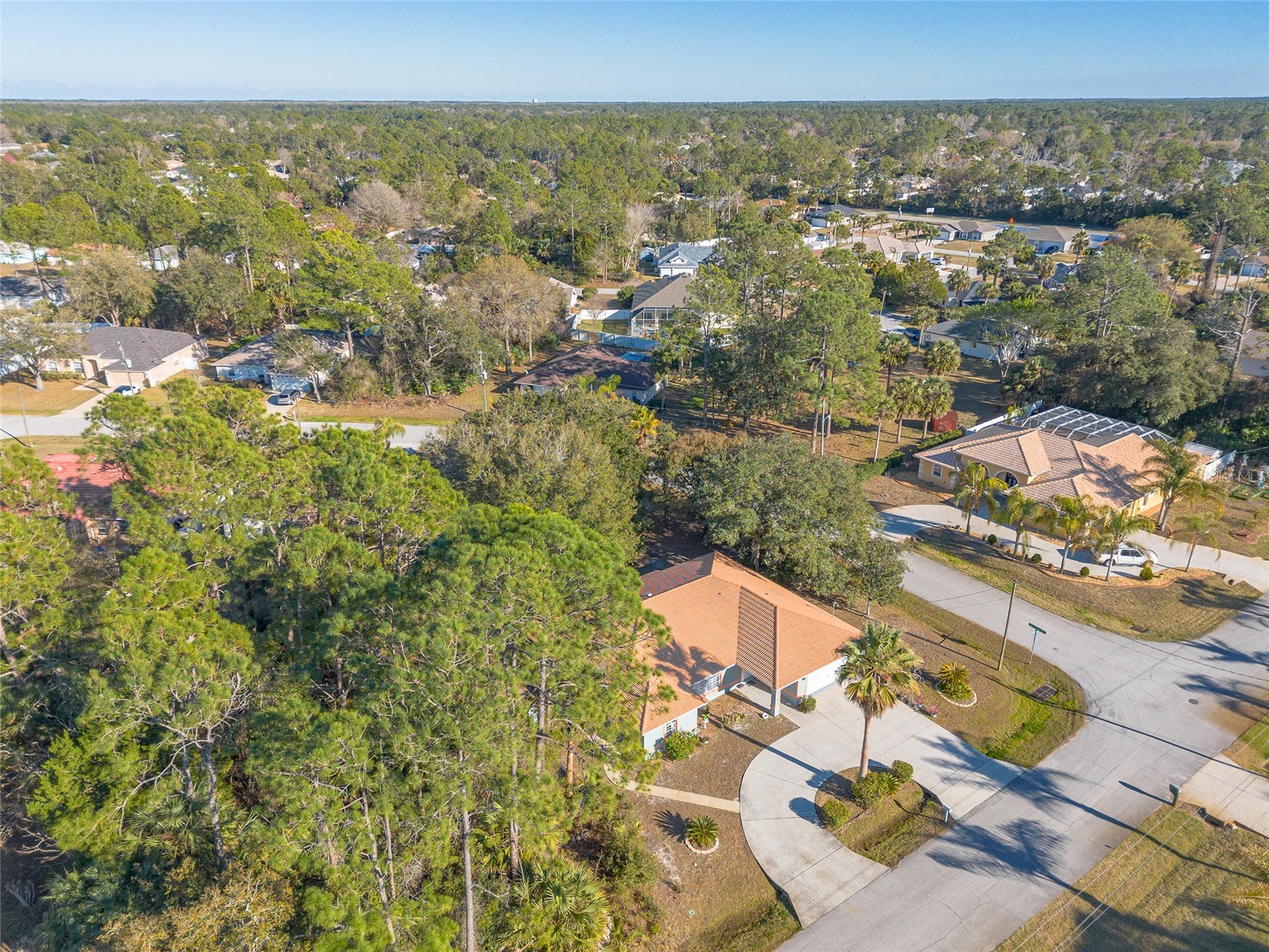 39 Princess Ruth Lane Palm Coast FL 32164 V4947457 image47