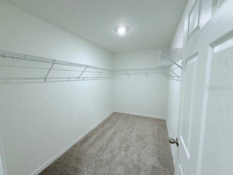 39 Slipper Trail Palm Coast FL 32164 C7523806 image11