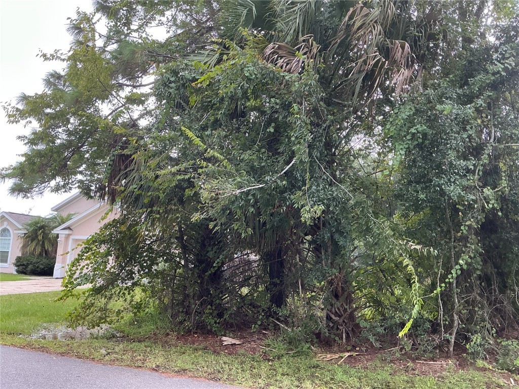 39 Whittington Drive Palm Coast FL 32164 OM711207 image2