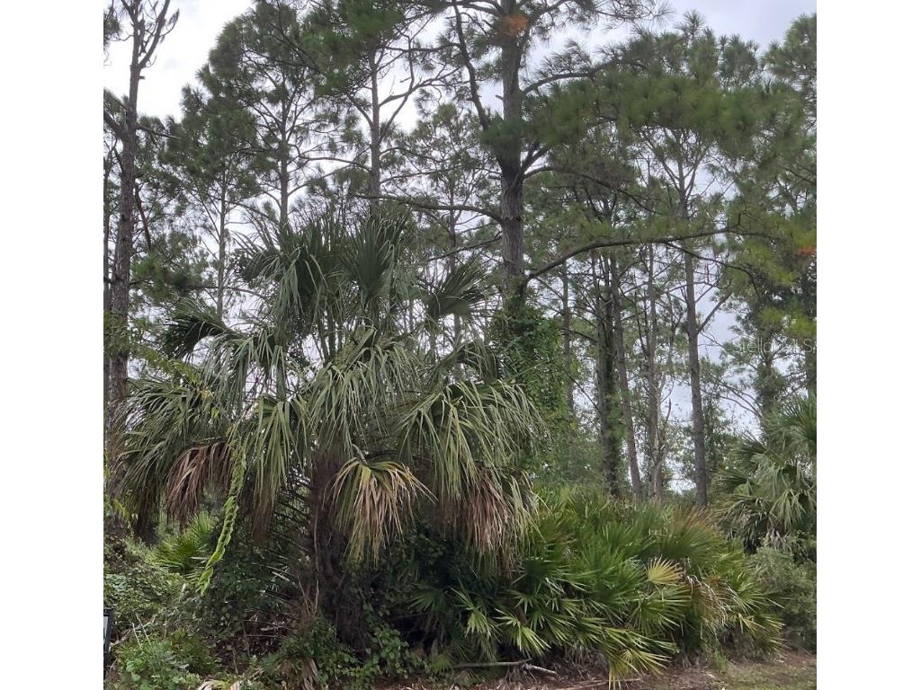 39 Whittington Drive Palm Coast FL 32164 OM711207 image3