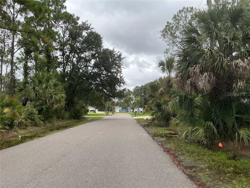 39 Whittington Drive Palm Coast FL 32164 OM711207 image4