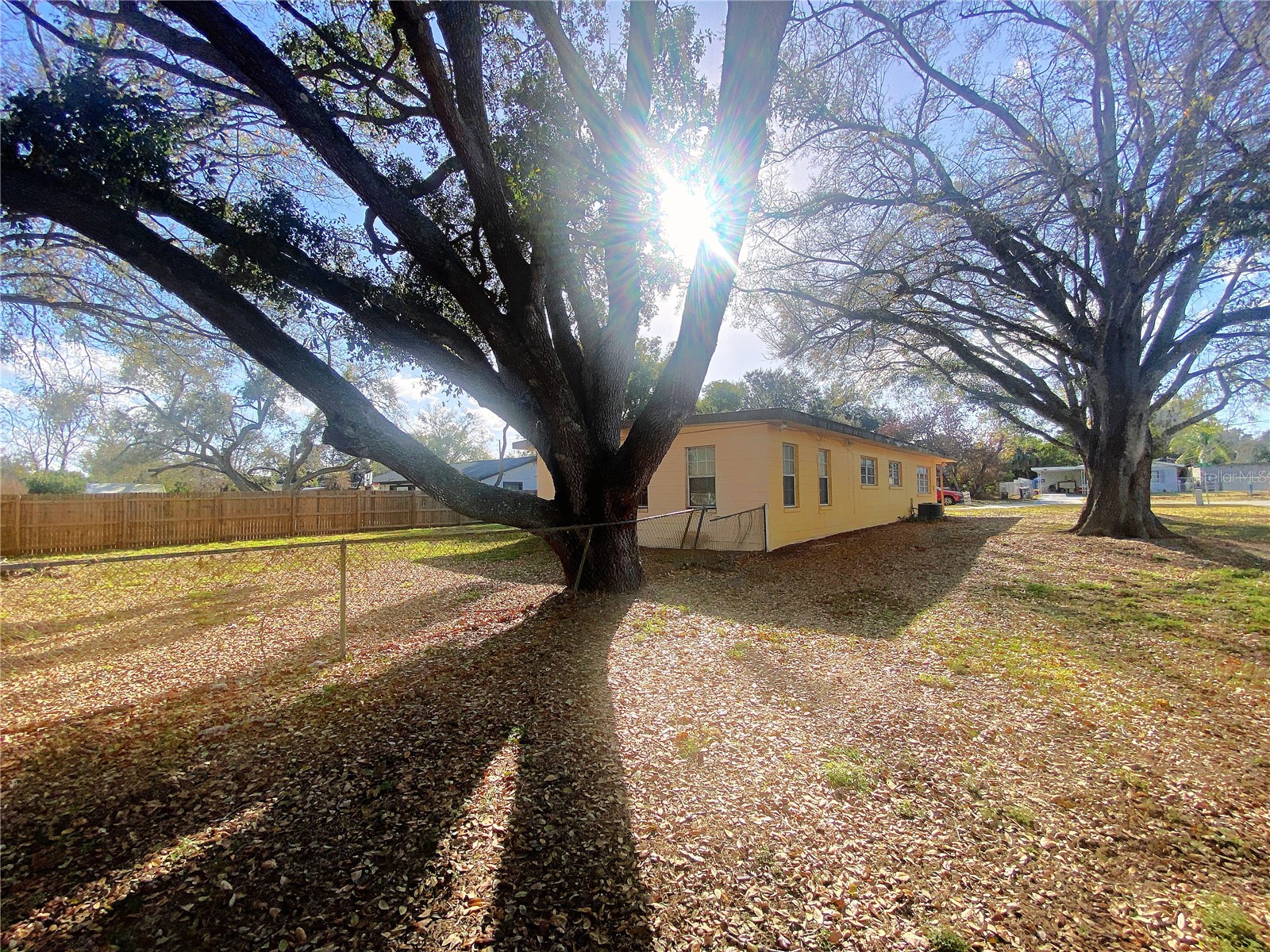 390 16th Street NE Winter Haven FL 33881 P4937879 image24