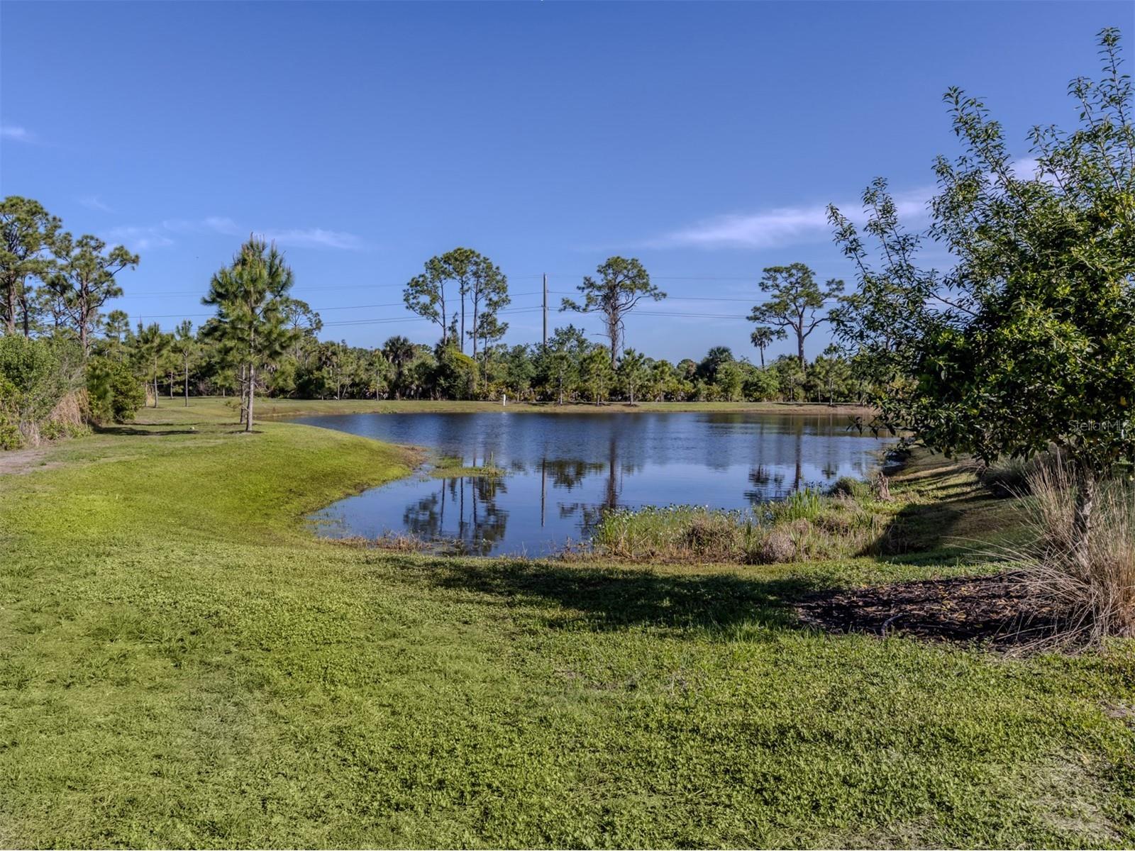 390 Ariano Avenue Nokomis FL 34275 N6143771 image21