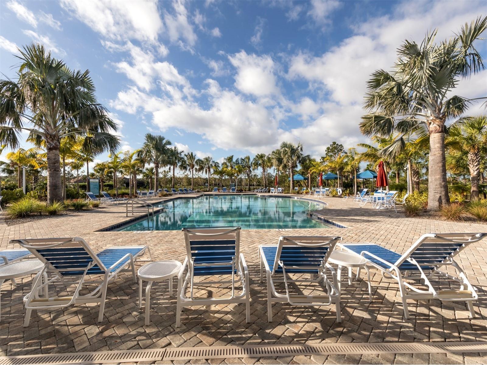 390 Ariano Avenue Nokomis FL 34275 N6143771 image51