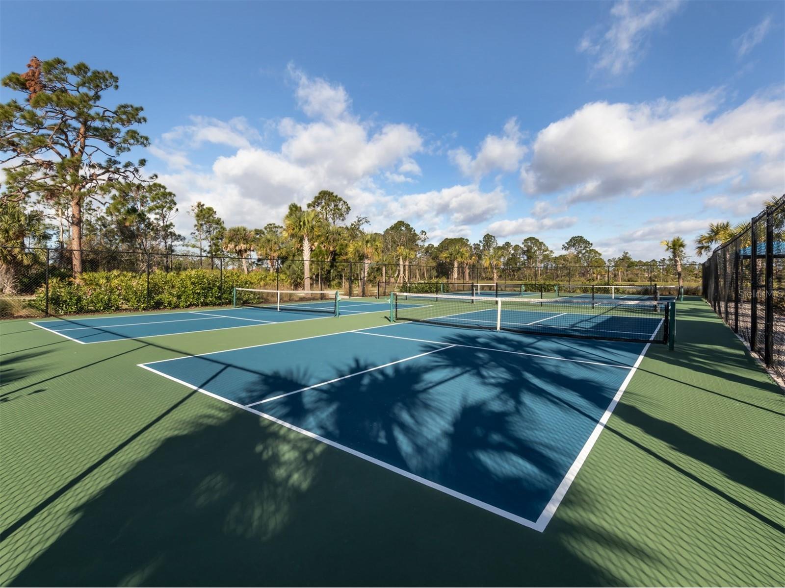 390 Ariano Avenue Nokomis FL 34275 N6143771 image60