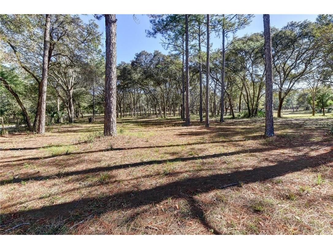 390 Foothill Farms Road Orange City FL 32763 V4940525 image1