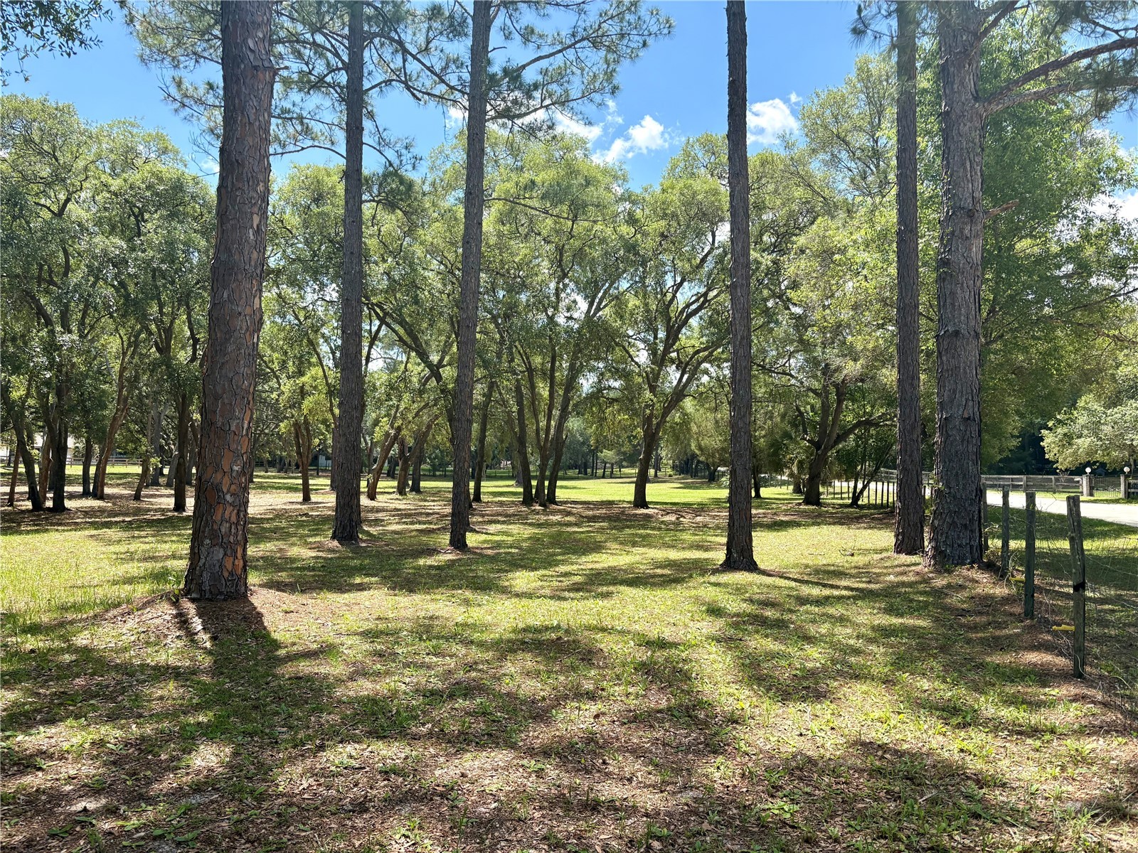 390 Foothill Farms Road Orange City FL 32763 V4949116 image10